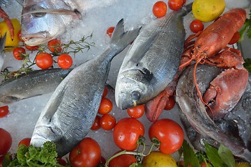 Image showing Seafood on ice