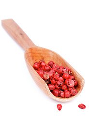 Image showing Red Peppercorns