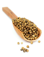 Image showing Coriander Seeds