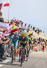 Image showing Cyclists Climbing Mont Ventoux