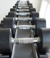 Image showing dumbbells