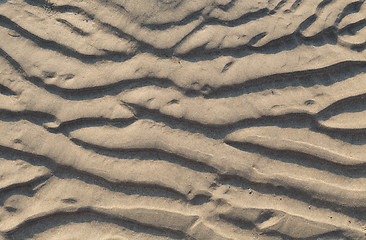 Image showing sand dune