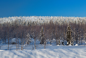 Image showing Winter landscape