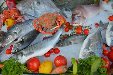 Image showing Seafood on ice