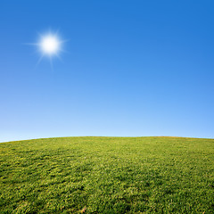Image showing Grass Field and Blue Sky