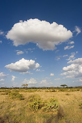 Image showing Samburu Landscape