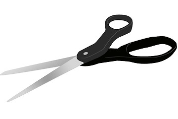 Image showing Shears