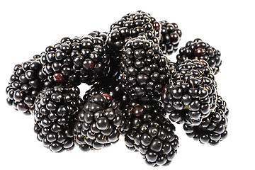 Image showing Blackberries close-up