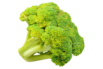 Image showing Broccoli cabbage