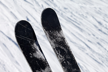 Image showing Skis over off-piste slope