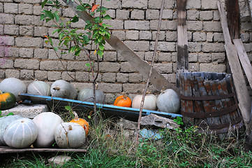 Image showing Pumpkins and Broken Barrel