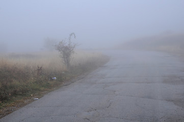 Image showing Heavy Fog on the Road