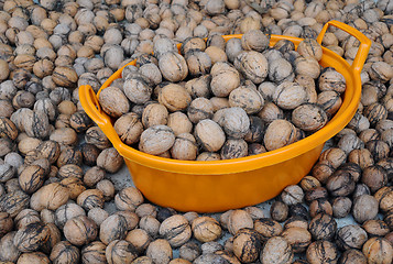Image showing Wallnuts and Orange Plastic Basin