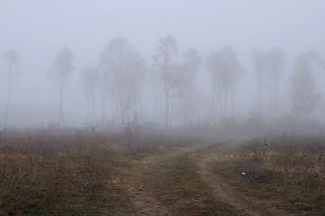 Image showing Rural Foggy Landscape in the Fall