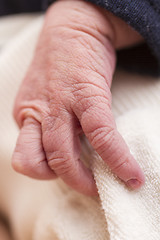 Image showing hand of new born baby in close up