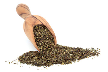 Image showing Ginkgo Tea