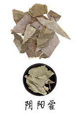Image showing Epimedium Herb