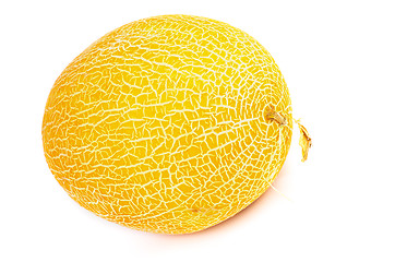 Image showing Cantaloupe Melon