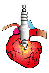 Image showing cardiac system