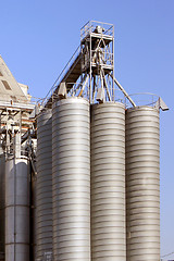 Image showing cereal industry