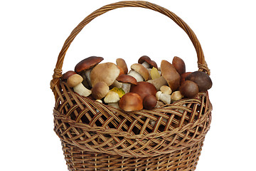 Image showing Mushrooms in a wicker basket on a white background.