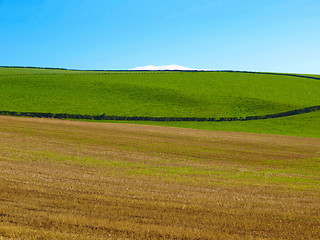 Image showing Cardross hill panorama