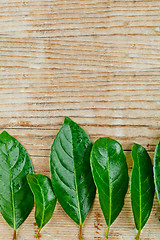 Image showing leaves on rustic wooden background 