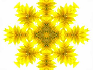 Image showing Abstract pattern of sunflower 