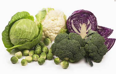 Image showing Various types of cabbage