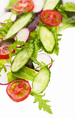 Image showing cut cucumbers, garden radish, tomatoes and lettuce leaves