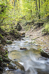 Image showing stream in forest