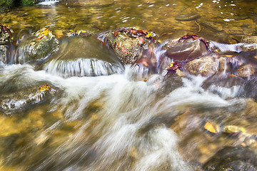 Image showing closeup of a creek in forest