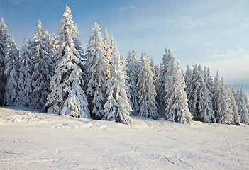 Image showing Winter Landscape