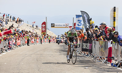 Image showing The Cyclist Robert Gesink