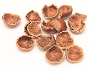 Image showing nut shell