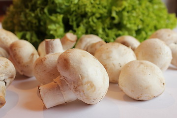 Image showing agaric and lettuce ready for the cooking