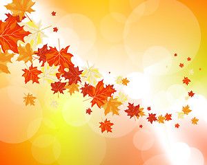 Image showing Autumn maple leaves