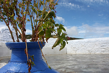 Image showing Blue jar