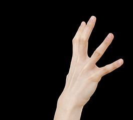 Image showing White hand on black