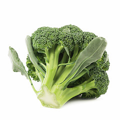 Image showing Broccoli vegetable