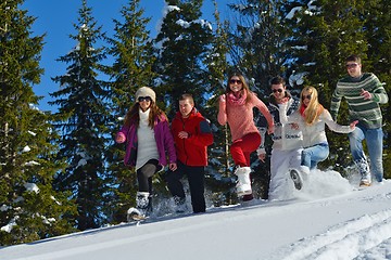 Image showing winter fun with young people group