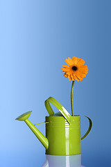 Image showing Watering can with a flower