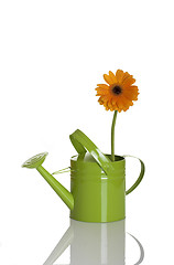 Image showing Green watering can with a flower