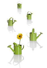 Image showing Watering cans