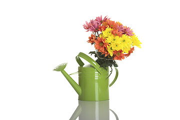 Image showing Green watering can with flowers