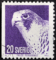 Image showing Falcon Stamp