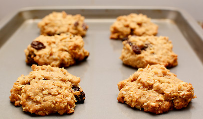 Image showing Oatmeal raisin cookies cooling on a baking sheet