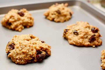 Image showing Freshly baked oatmeal raisin cookies