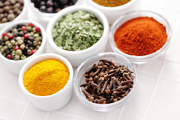 Image showing lots of spices