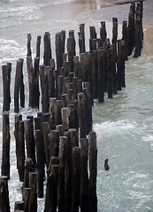 Image showing wooden poles